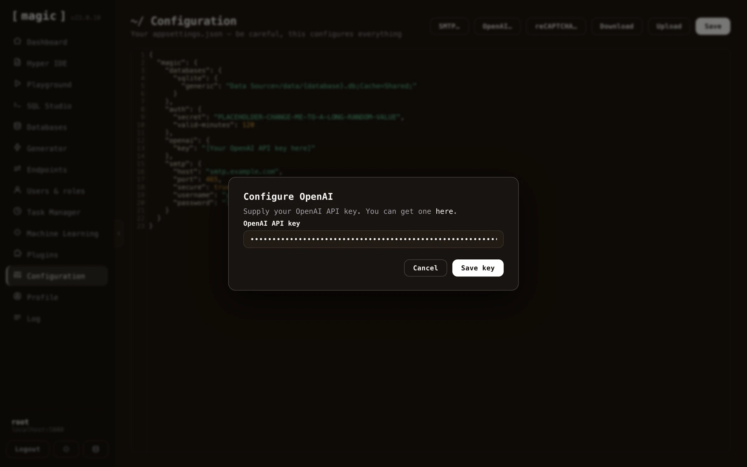 Screenshot of configuring your OpenAI API key