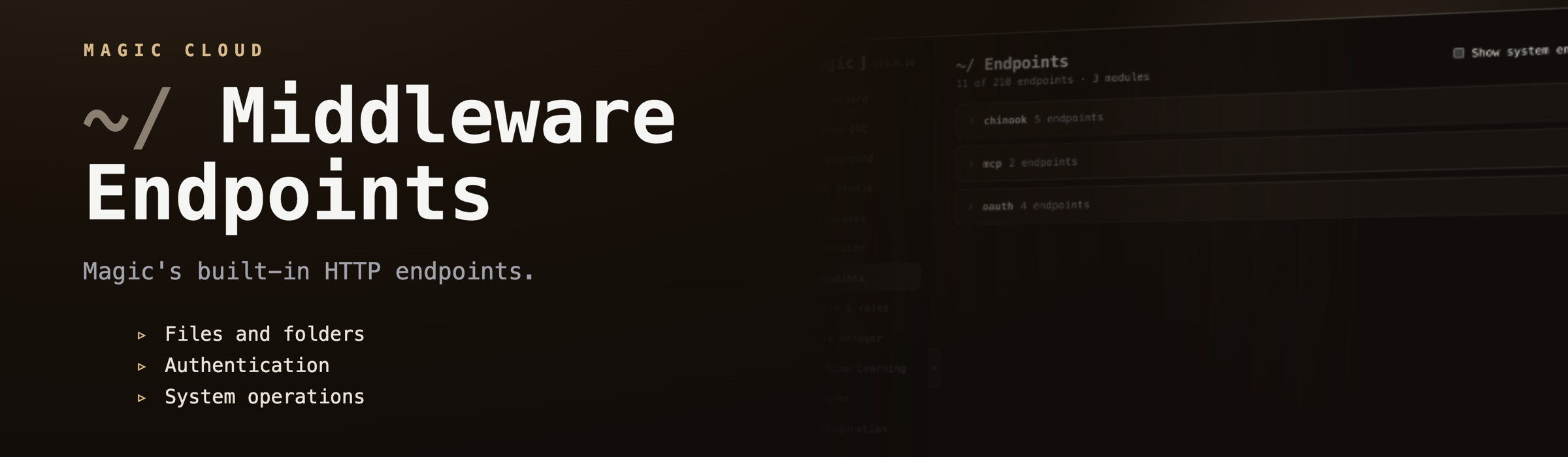 Cache endpoints