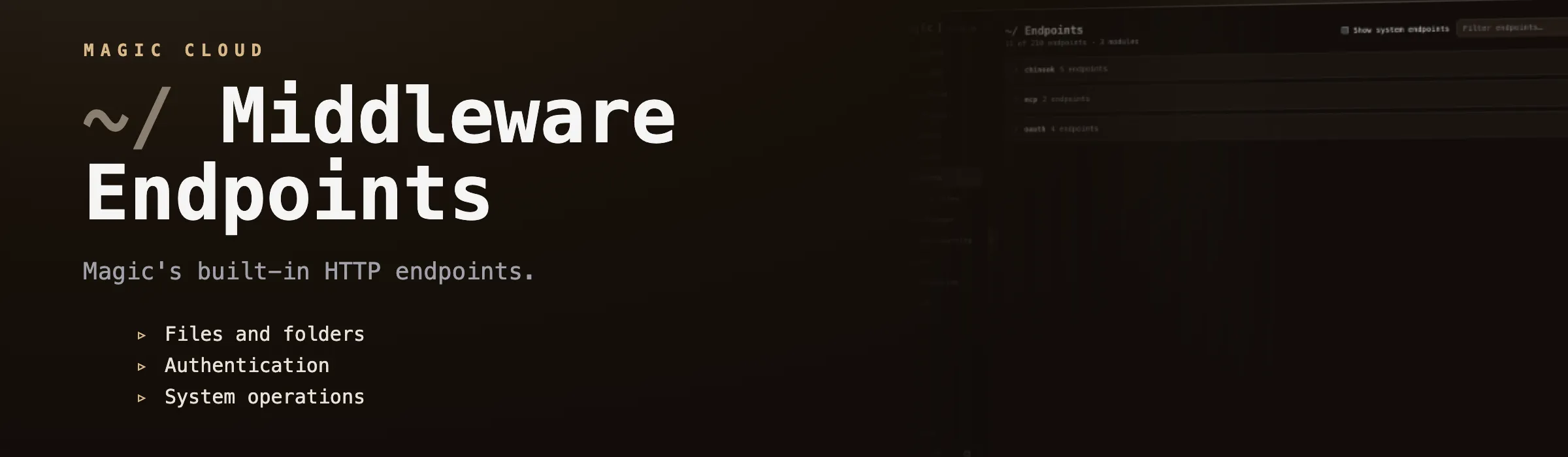 Middleware Endpoints
